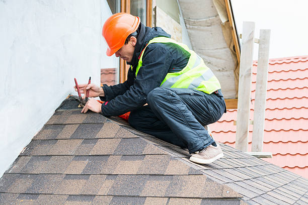 Best Residential Roofing Contractor  in Camden, AL